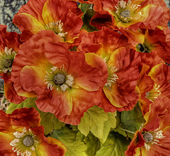 Undertakers in Netherton