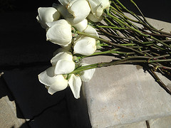 Funeral Home in Sefton