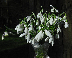 Low Cost Funerals in Litherland