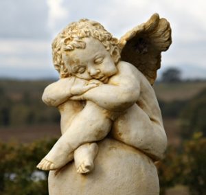 Funeral Plans in Waterloo