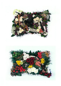 Non-religious Funerals in Waterloo